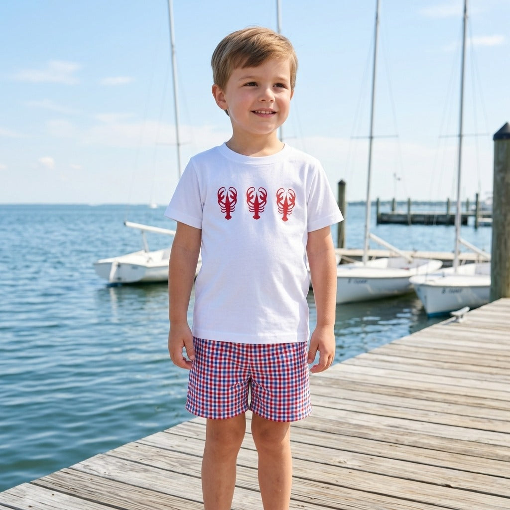 Boys Lobster T-shirt and checkered Red, White & Blue Short SET